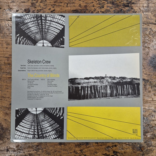 LP Skeleton Crew - The Country Of Blinds RecRec 12 Musica Rock Vinile