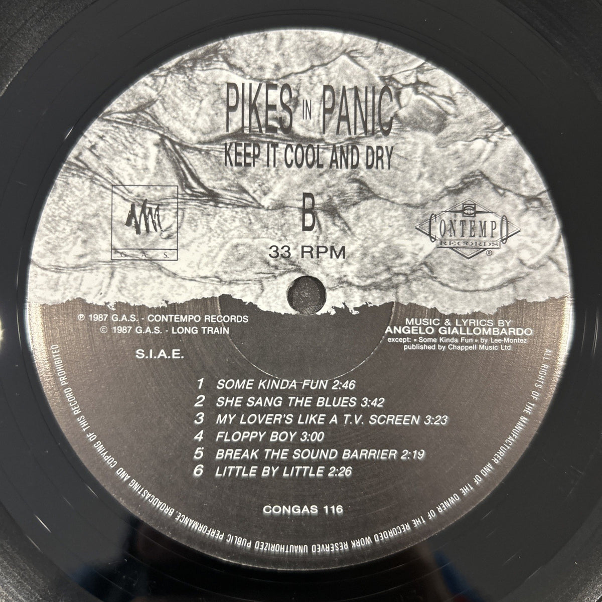 LP Pikes In Panic - Keep It Cool And Dry CONGAS116 Italy 1987 Garage Rock Vinile
