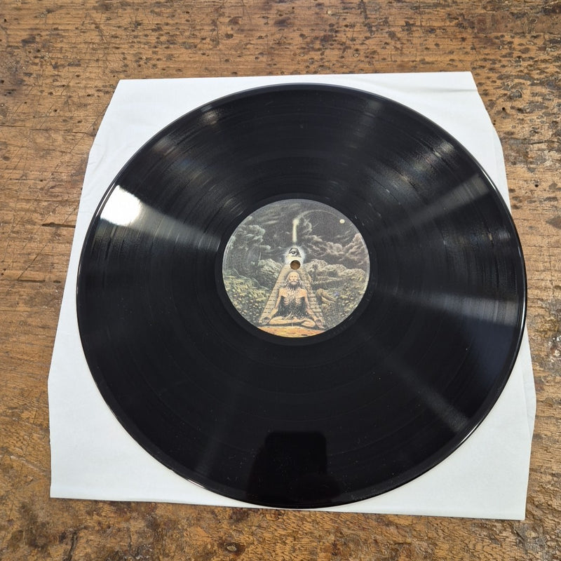 LP Atomic Booster AKARMA AK 167 Ristampa Rock Garage Vinile