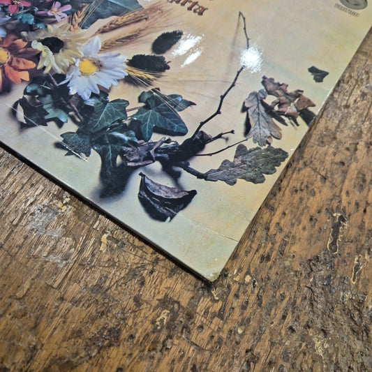 LP Magna Carta - Seasons Vertigo 6360 003 Made In France Musica Rock Vinile 12