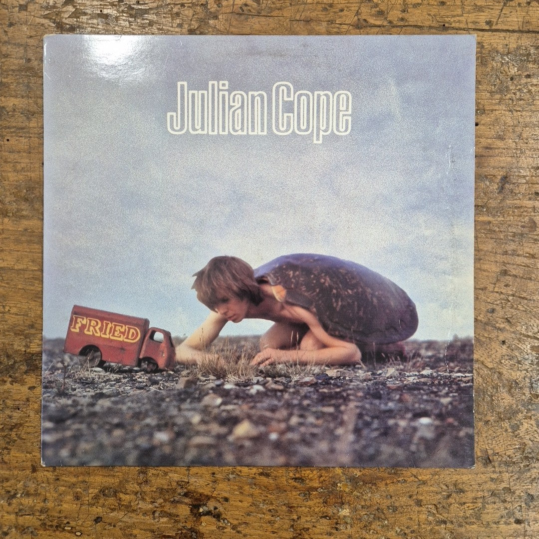LP Julian Cope - Fried Mercury MERL 48 MADE IN UK 1984 Musica Rock Vinile
