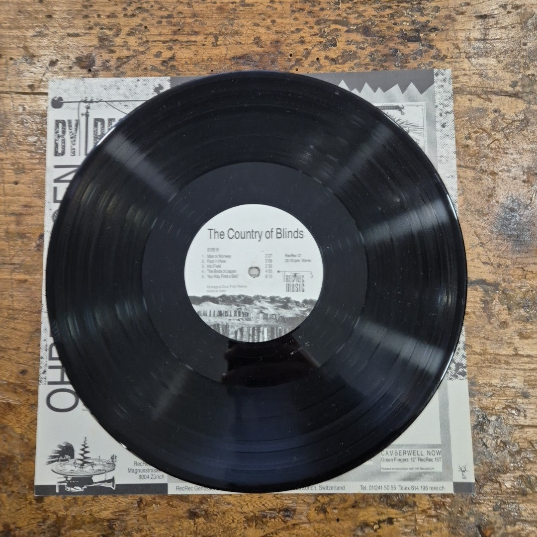 LP Skeleton Crew - The Country Of Blinds RecRec 12 Musica Rock Vinile