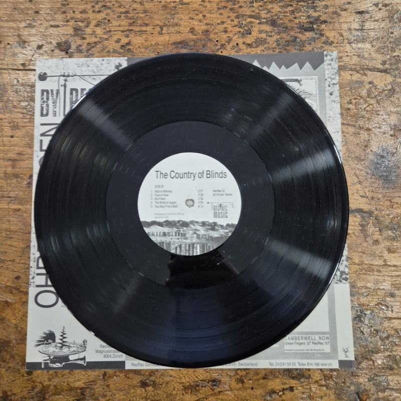 LP Skeleton Crew - The Country Of Blinds RecRec 12 Musica Rock Vinile