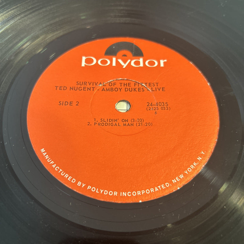 LP Ted Nugent And The Amboy Dukes - Survival Of The Fittest 24-4035  Psychedelic