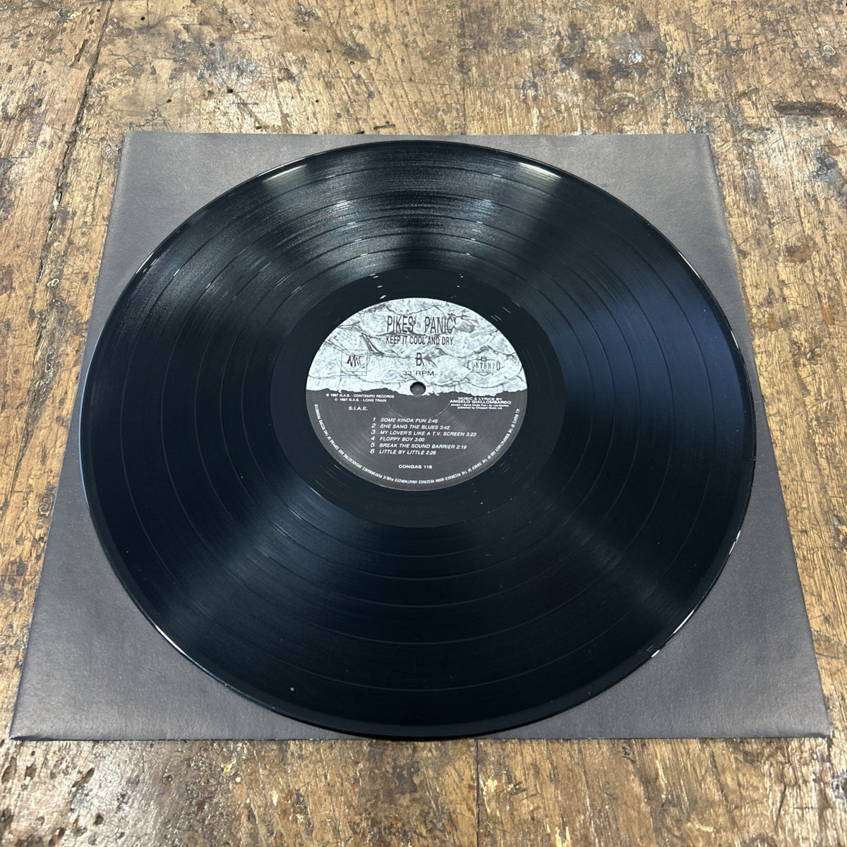 LP Pikes In Panic - Keep It Cool And Dry CONGAS116 Italy 1987 Garage Rock Vinile