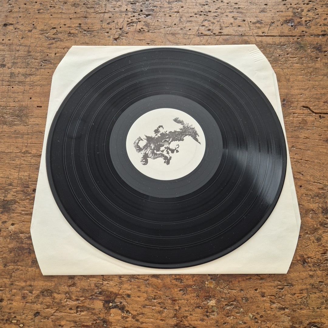 LP B. Romani C. Cojaniz - Tarahumara NTR 01 Free Jazz Contemporary Vinile 12