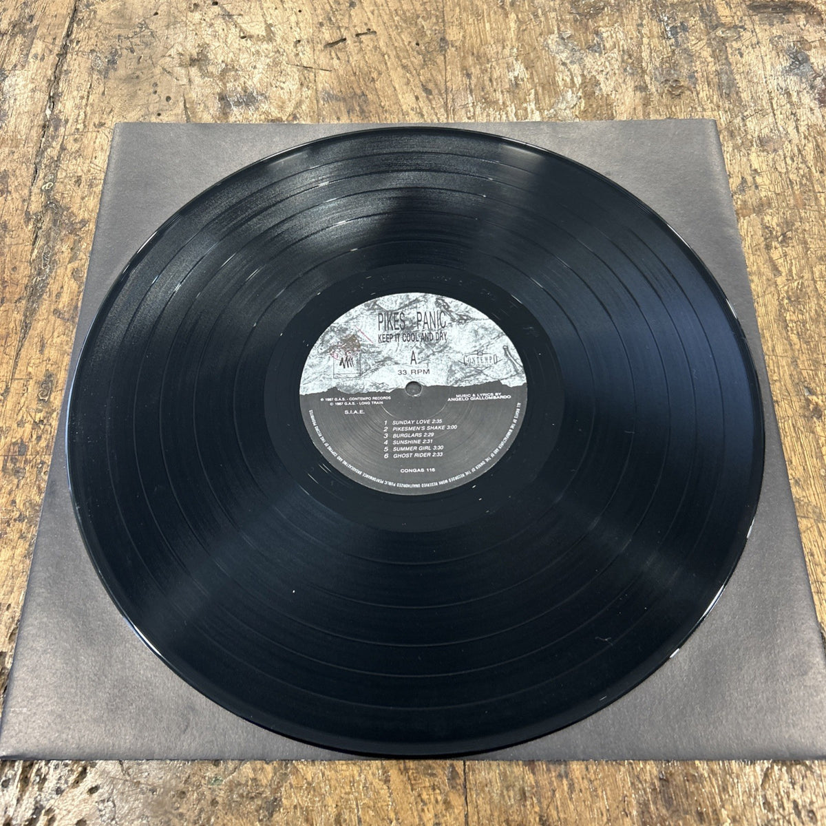 LP Pikes In Panic - Keep It Cool And Dry CONGAS116 Italy 1987 Garage Rock Vinile