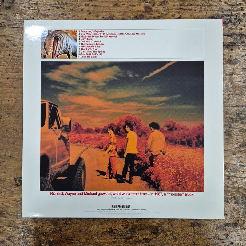 LP The Flaming Lips - Oh My Gawd!!! Plain 112 Musica Alternative Vinile