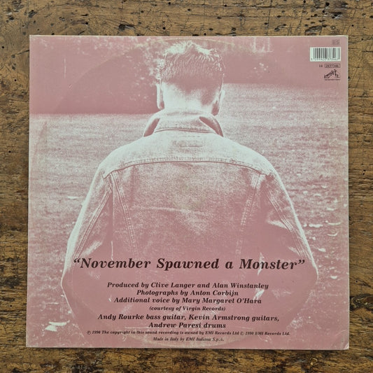 LP Morrissey - November Spawned A Monster 14 2037346 Musica New Wave Rock