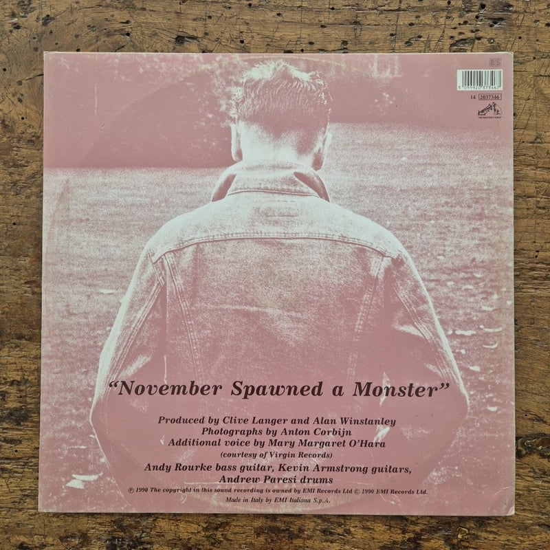LP Morrissey - November Spawned A Monster 14 2037346 Musica New Wave Rock