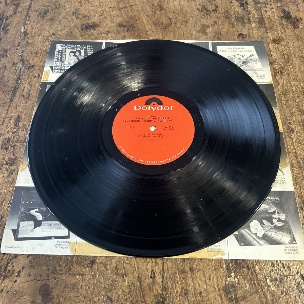 LP Ted Nugent And The Amboy Dukes - Survival Of The Fittest 24-4035  Psychedelic