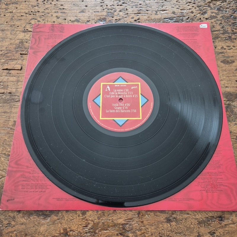 LP Les Negresses Vertes La Valse Zombi La Mouche Musica New Wave Vinile Rock