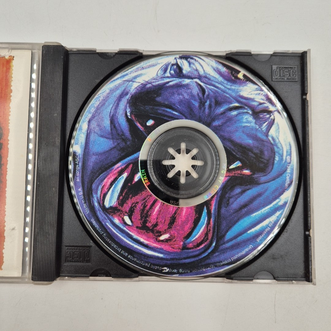 CD rock The Brain Surgeons - Eponymous Cellsum Records BS 00001 Hard Rock
