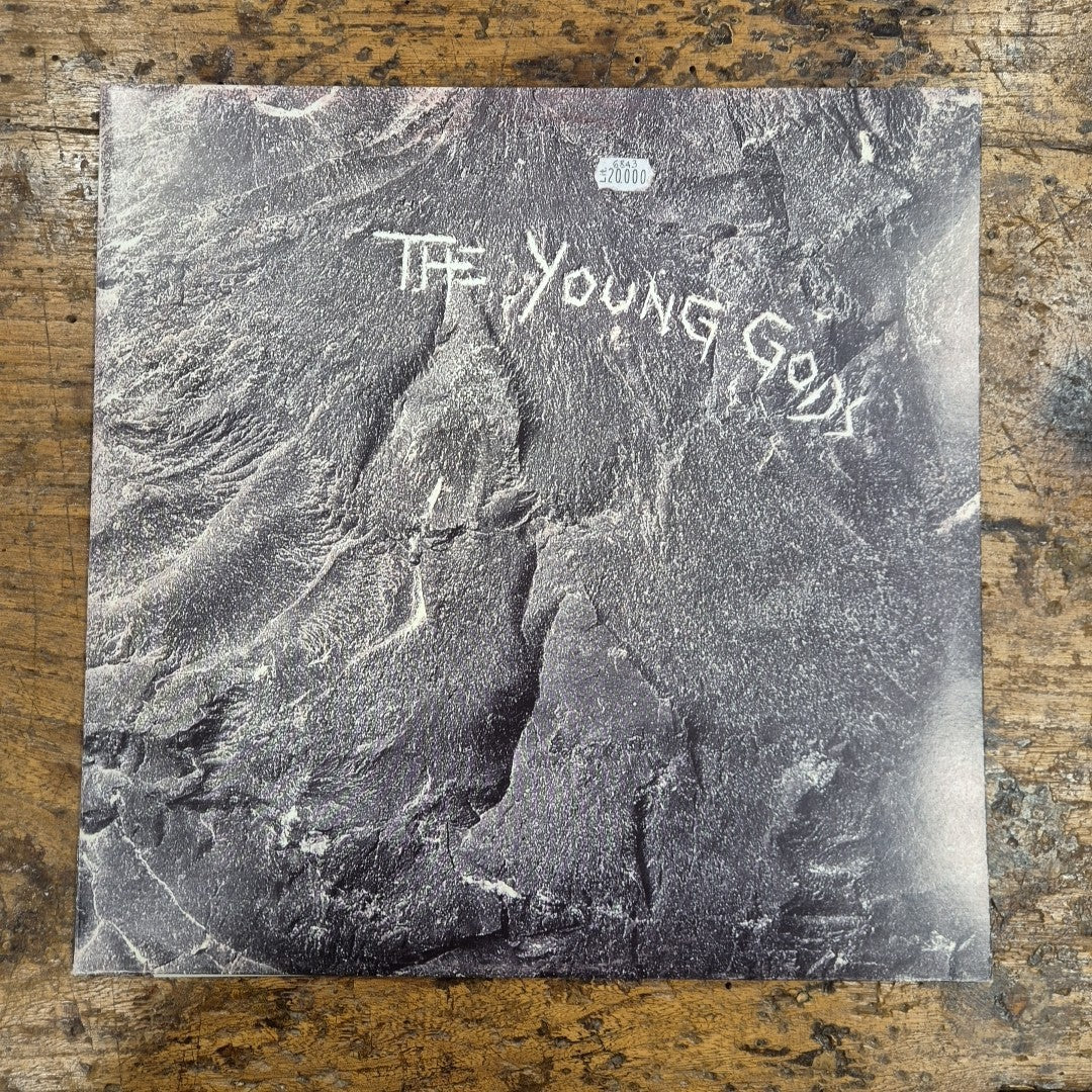 LP The Young Gods - LD 8821 Made In Belgium Electronic Rock Vinile