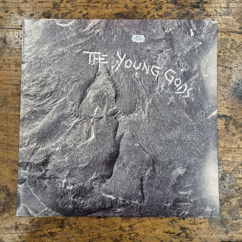 LP The Young Gods - LD 8821 Made In Belgium Electronic Rock Vinile
