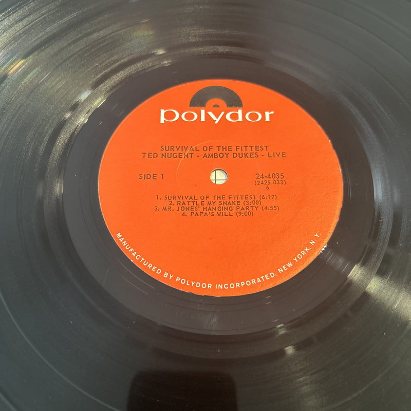 LP Ted Nugent And The Amboy Dukes - Survival Of The Fittest 24-4035  Psychedelic
