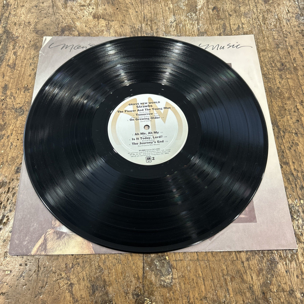 2 LP Strawbs - Grave New World SP-4344 Vinile 1972 USA Folk Rock Country