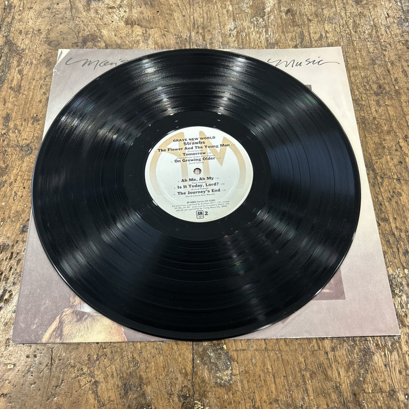 2 LP Strawbs - Grave New World SP-4344 Vinile 1972 USA Folk Rock Country