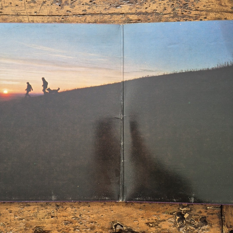 LP Bruce Cockburn - Joy Will Find A Way TN-23 Canada Vinile Psychedelic Rock
