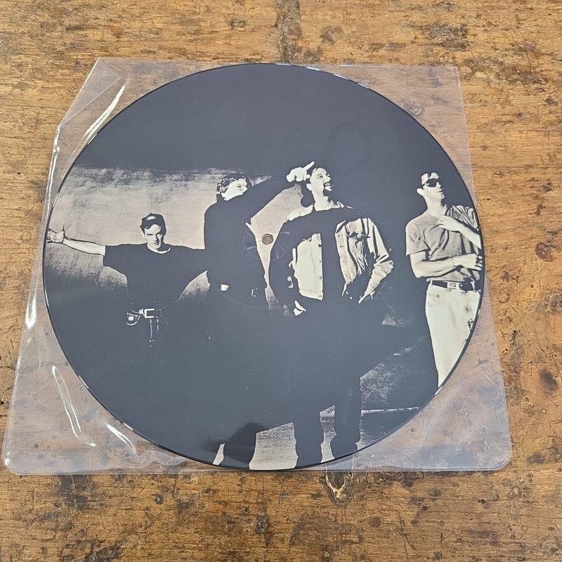 LP R.E.M. - Nightswimming W0184TP 1993 Picture Disc Rock Vinile