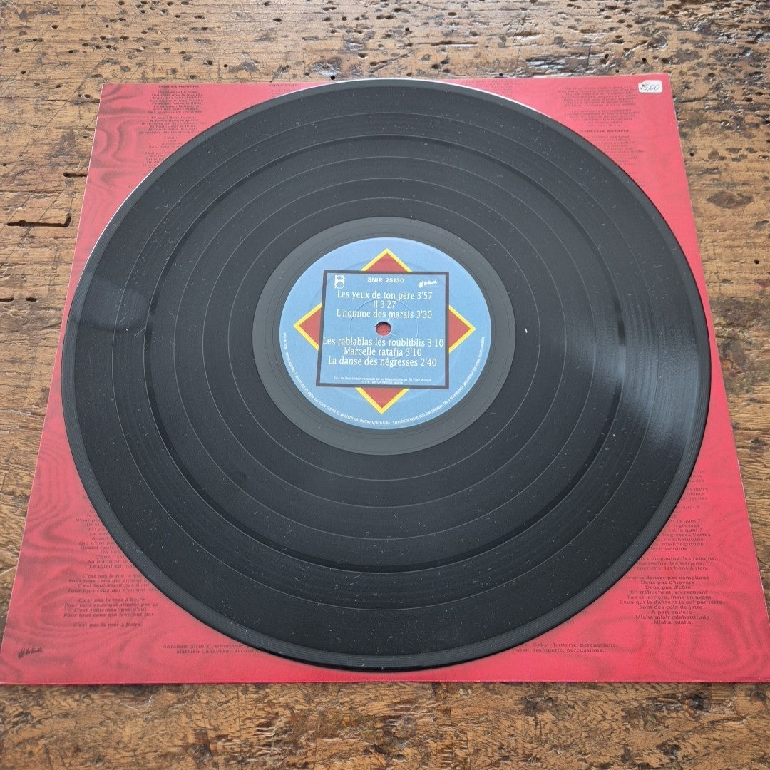 LP Les Negresses Vertes La Valse Zombi La Mouche Musica New Wave Vinile Rock