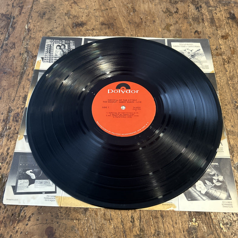LP Ted Nugent And The Amboy Dukes - Survival Of The Fittest 24-4035  Psychedelic
