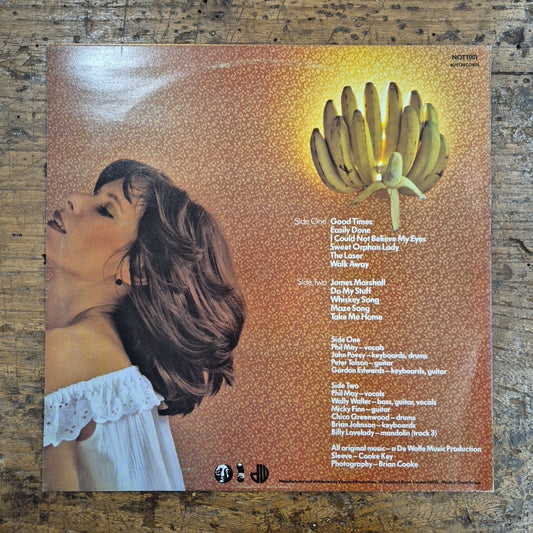 LP The Seventies - Electric Banana NOTT 001 Made in UK Vinile Rock
