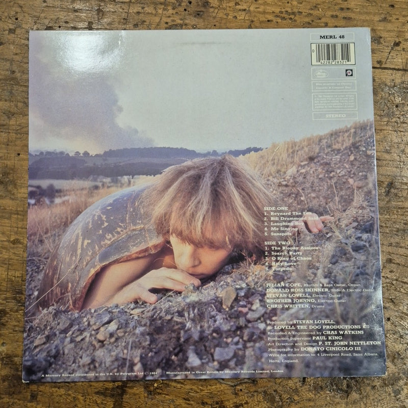 LP Julian Cope - Fried Mercury MERL 48 MADE IN UK 1984 Musica Rock Vinile