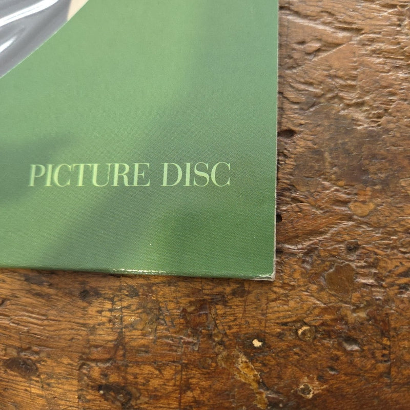 LP R.E.M. - Nightswimming W0184TP 1993 Picture Disc Rock Vinile