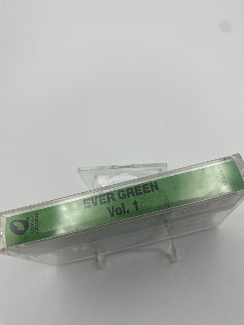 MUSICASSETTA Tape VG Karaoke Basi Musicali Ever Green